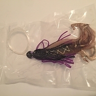 Rigged Squid (day)
