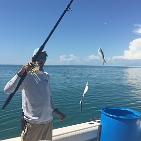 Live Bait